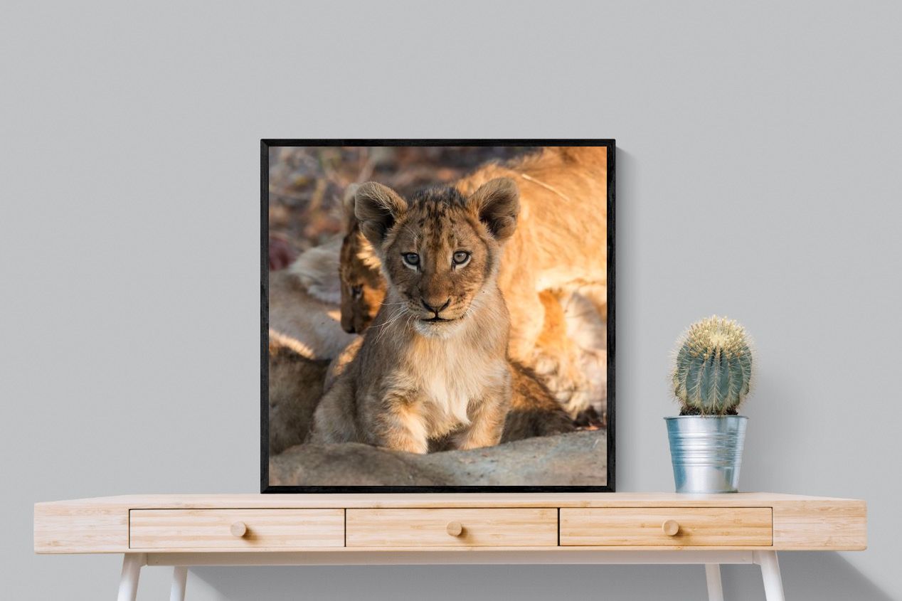 Pixalot ® Little Lion