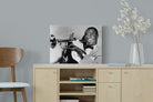 Pixalot ® Louis Armstrong