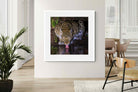 Pixalot ® Midnight Thirst