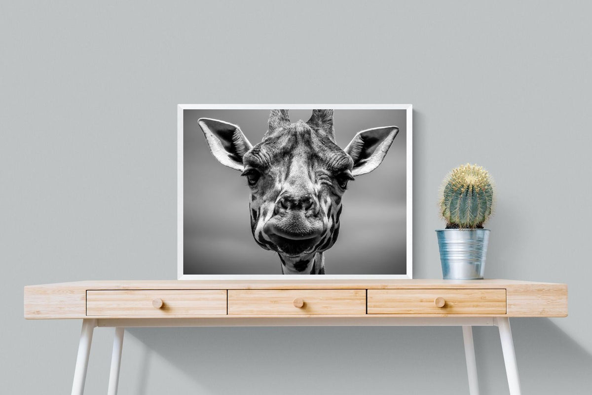 Pixalot ® Mr Giraffe