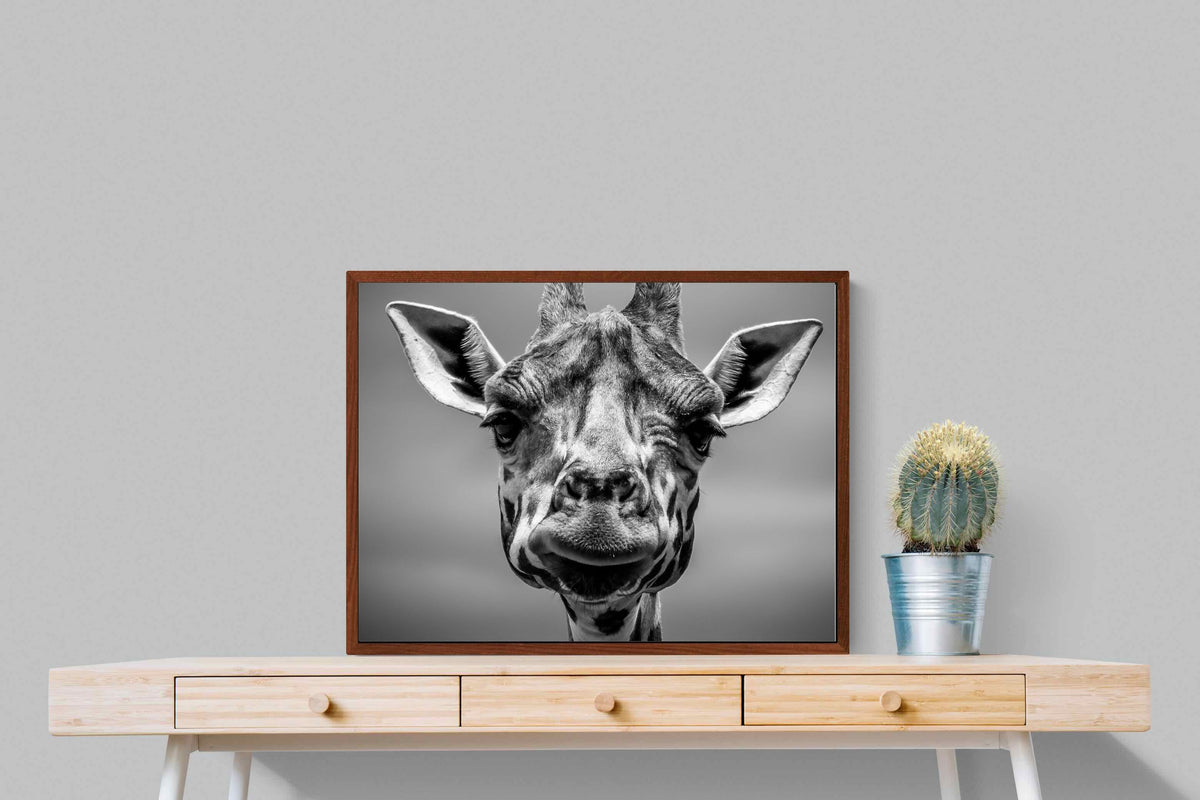 Pixalot ® Mr Giraffe