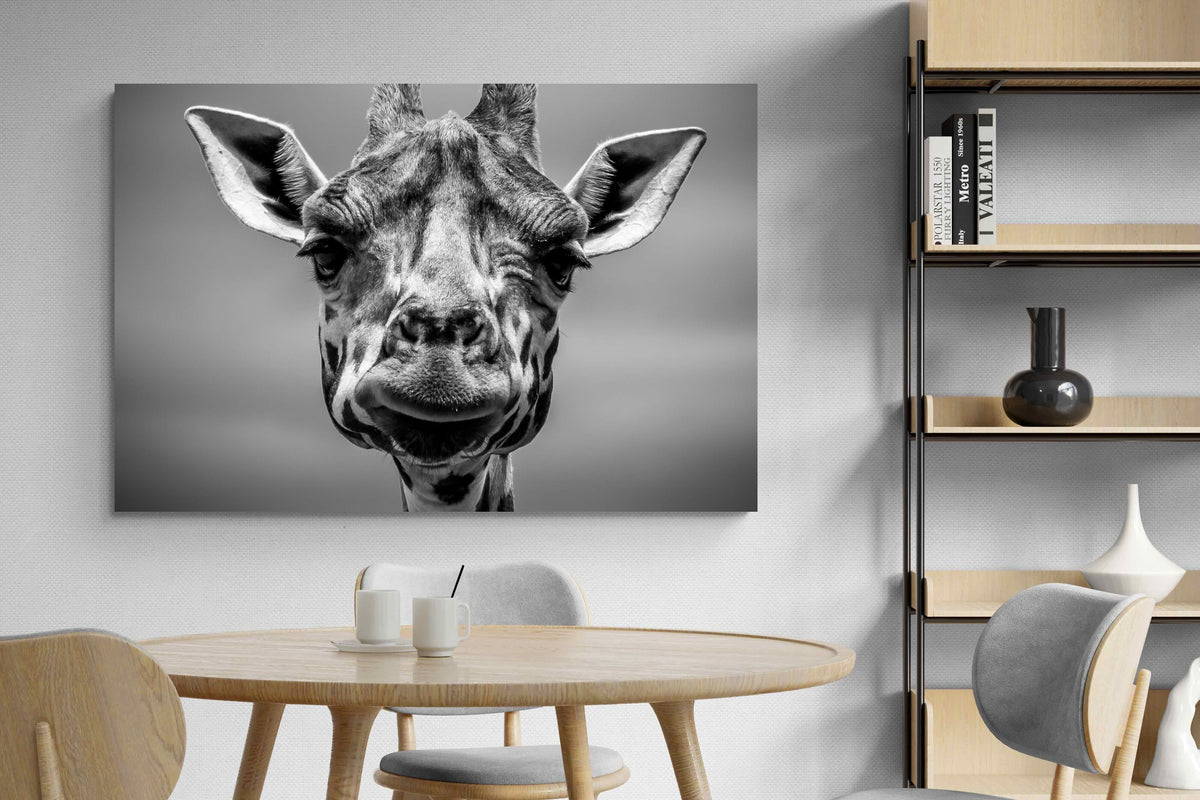 Pixalot ® Mr Giraffe
