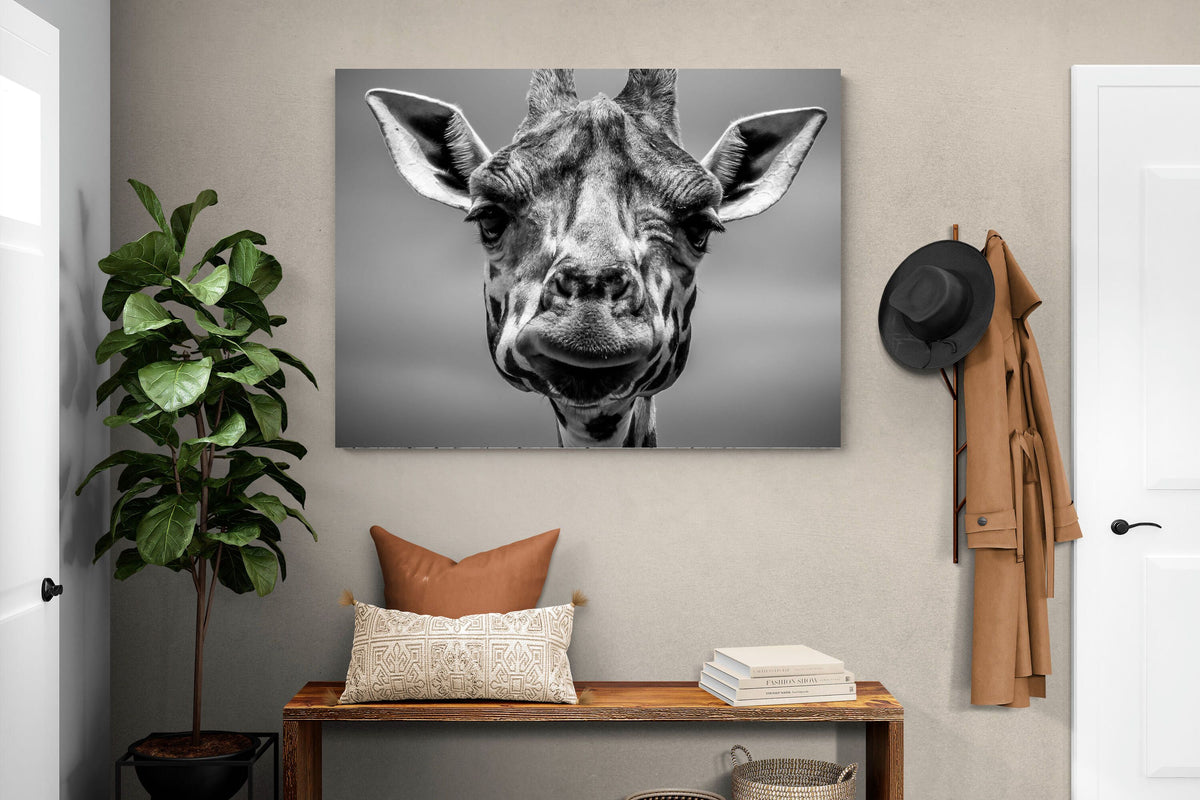 Pixalot ® Mr Giraffe