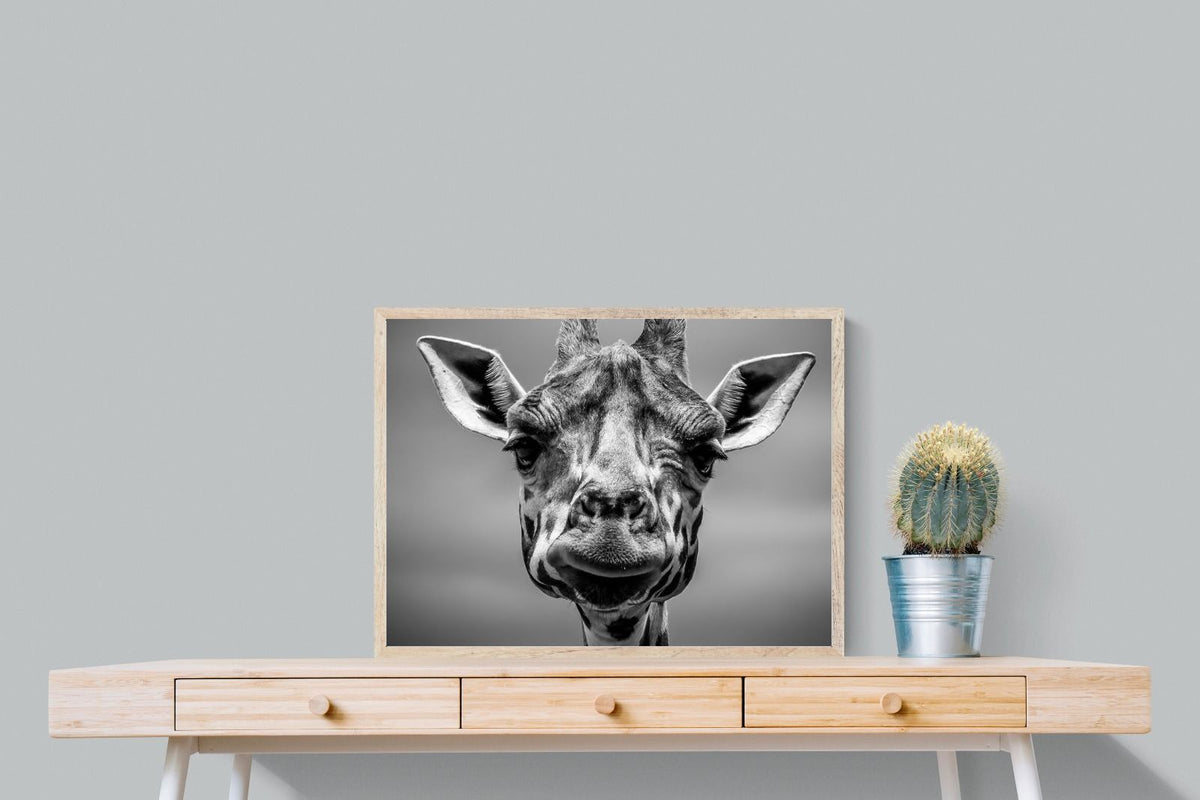 Pixalot ® Mr Giraffe