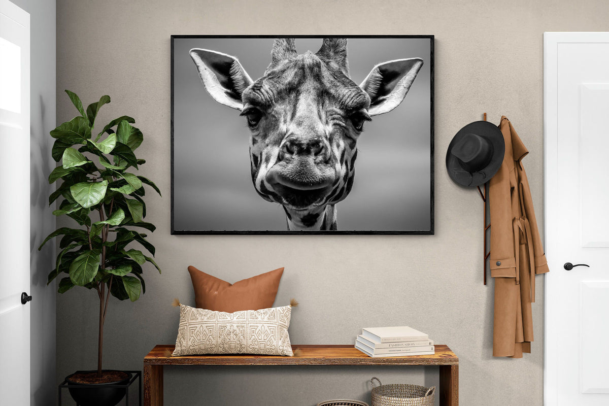 Pixalot ® Mr Giraffe