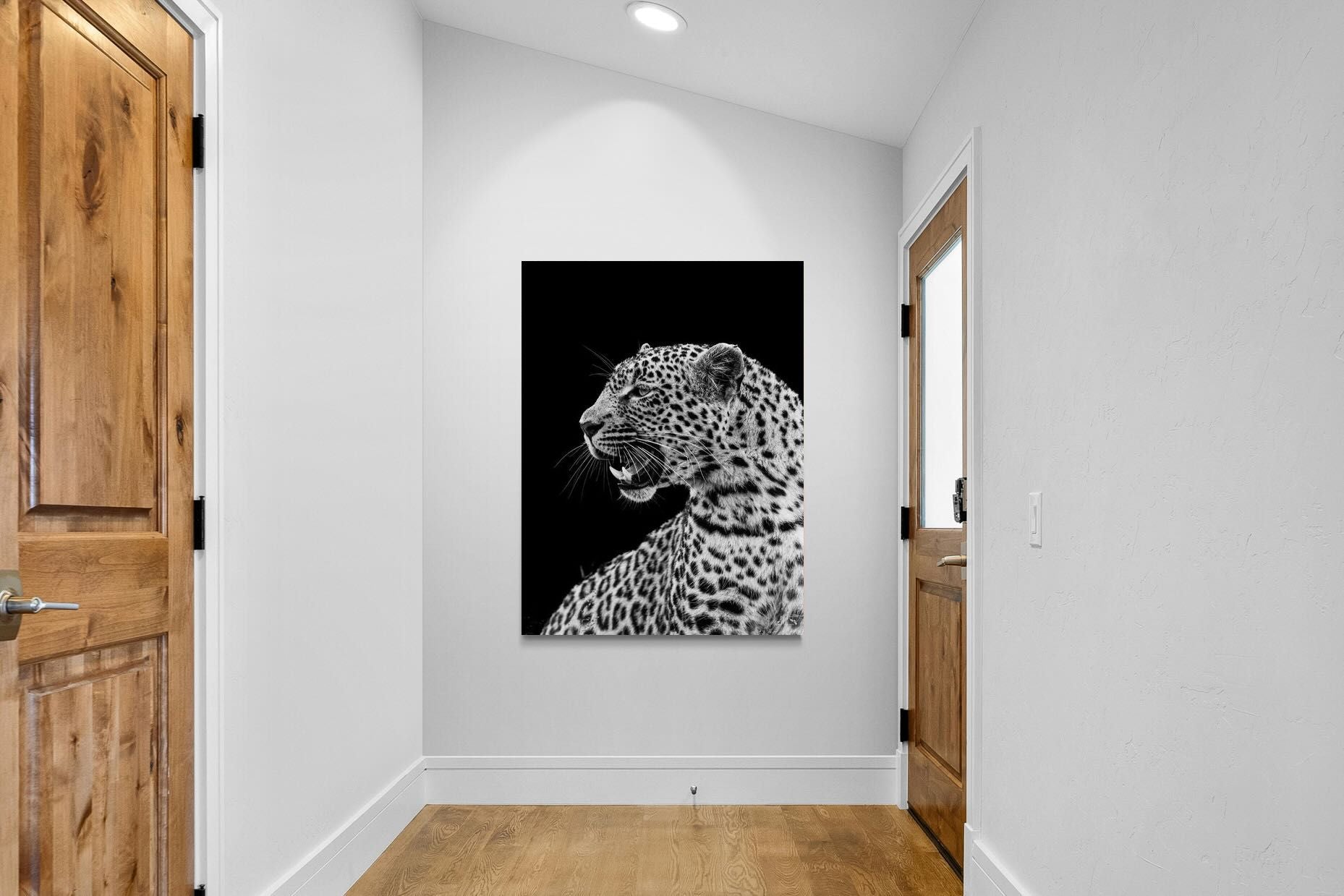 Pixalot ® Night Watch