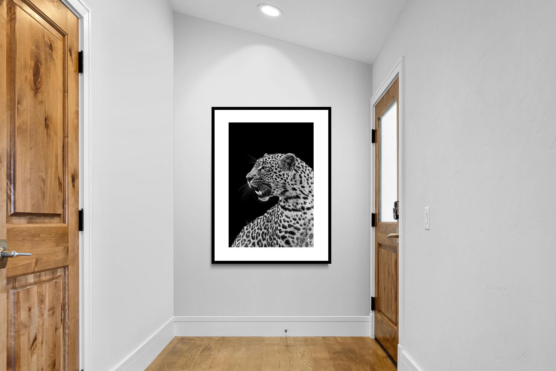 Pixalot ® Night Watch