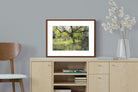 Pixalot ® Orchard at Eemnes