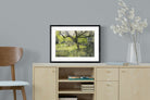 Pixalot ® Orchard at Eemnes