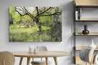 Pixalot ® Orchard at Eemnes