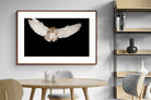 Pixalot ® Owl Attack