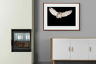 Pixalot ® Owl Attack
