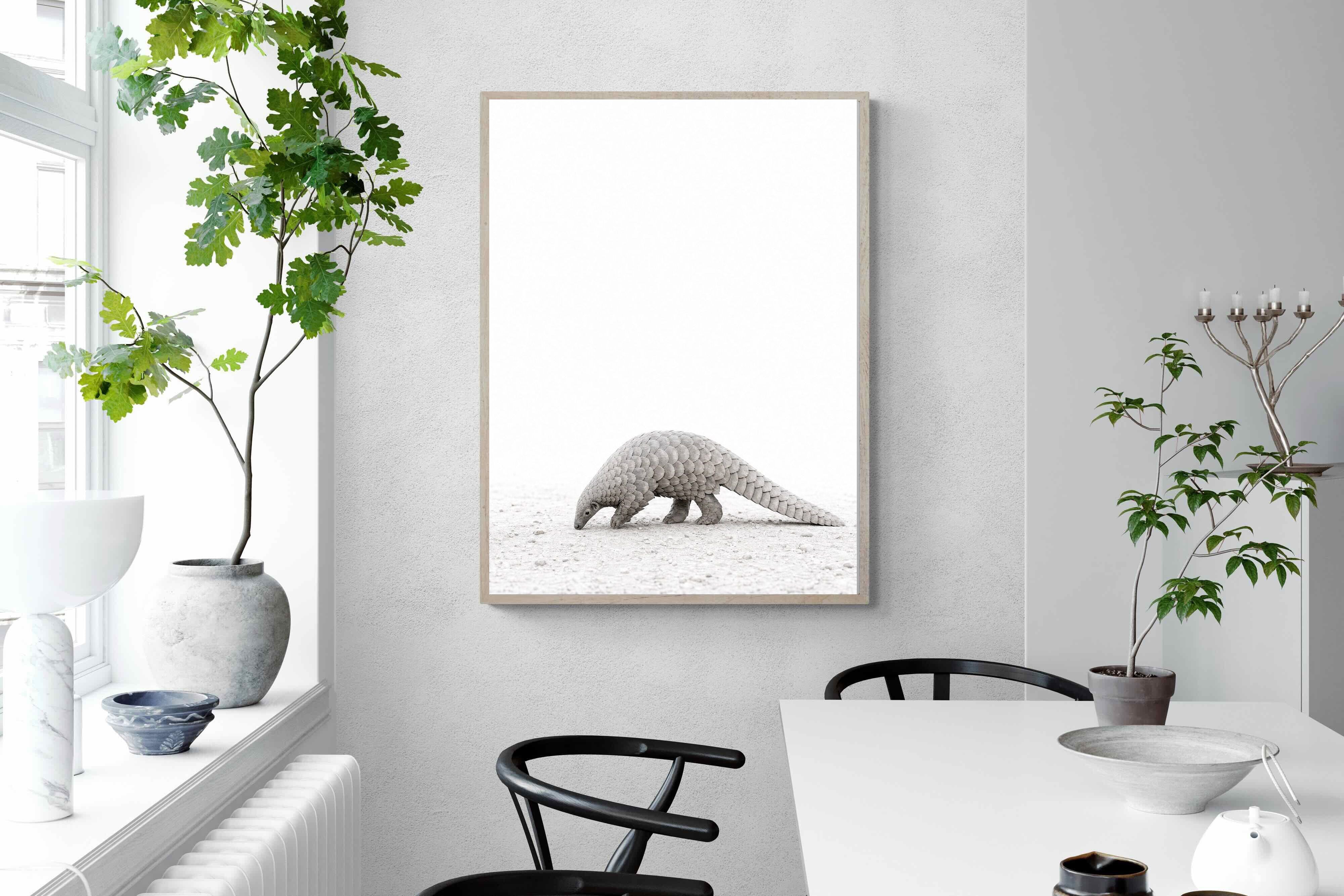 Pixalot ® Pangolin