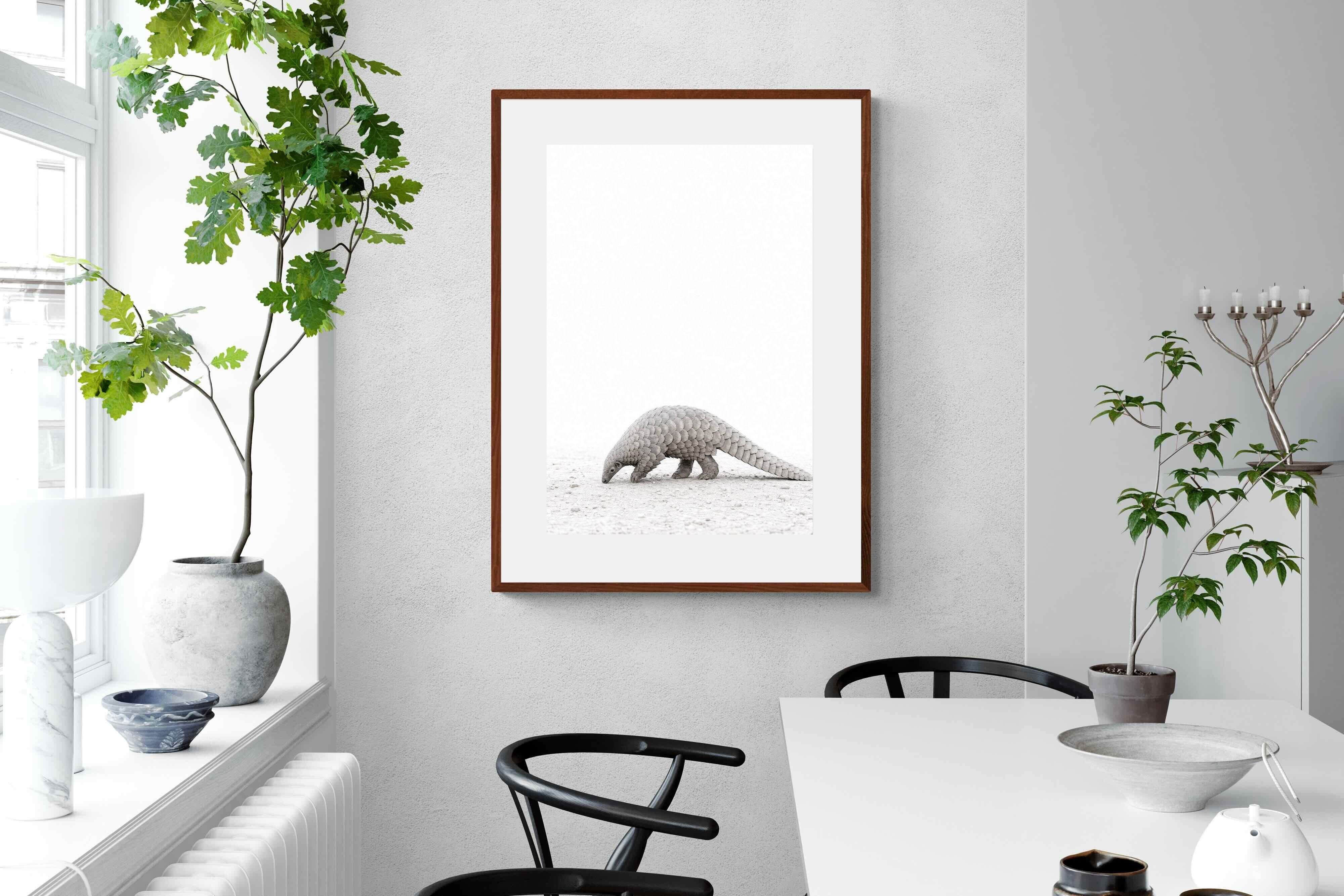 Pixalot ® Pangolin