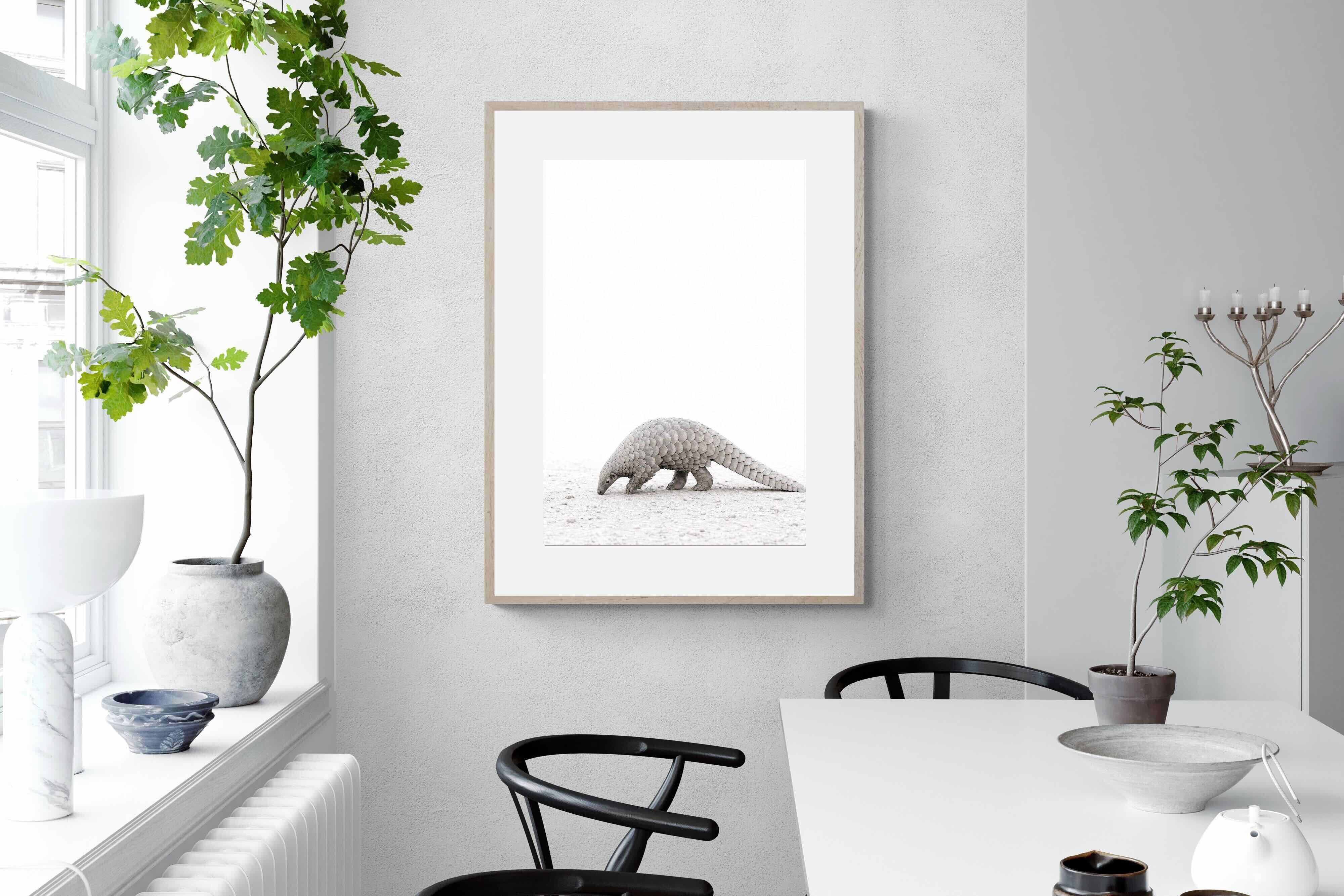 Pixalot ® Pangolin