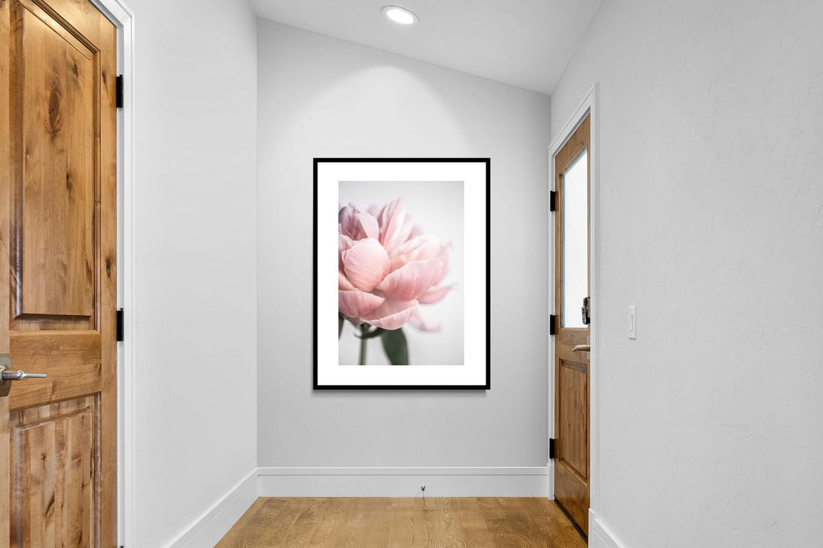 Pixalot ® Plush Peony