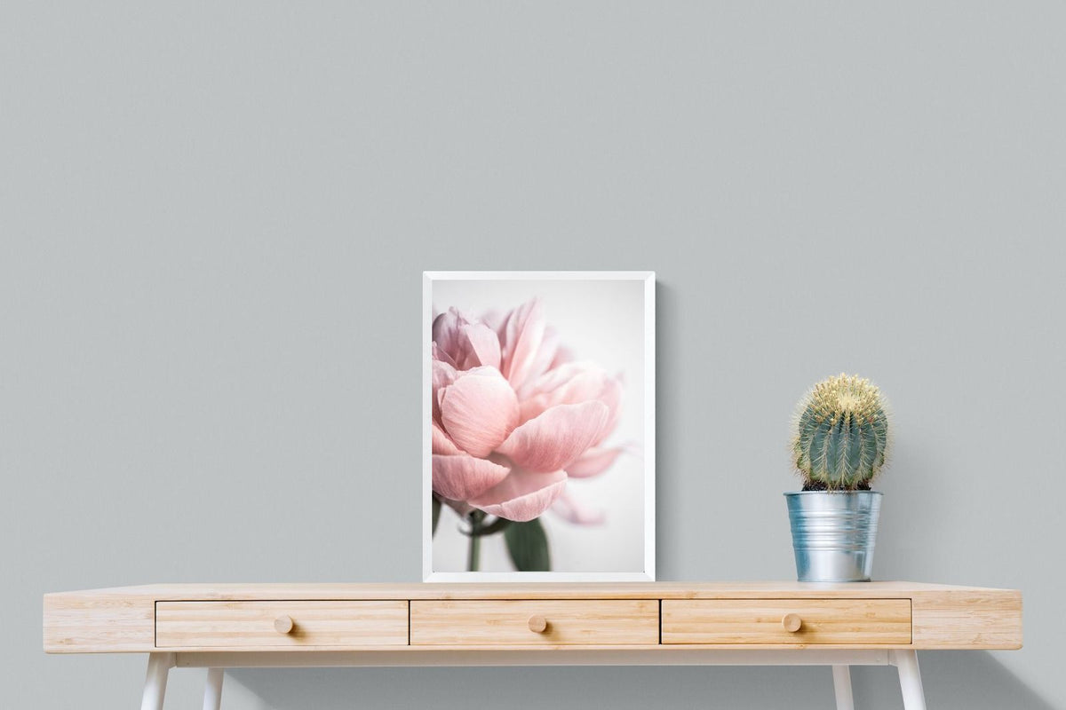 Pixalot ® Plush Peony