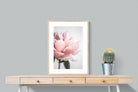 Pixalot ® Plush Peony