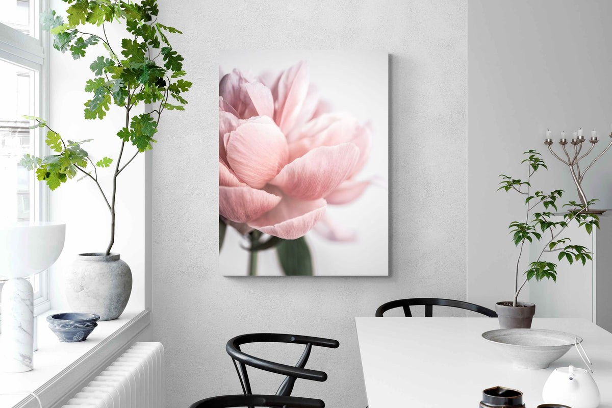 Pixalot ® Plush Peony