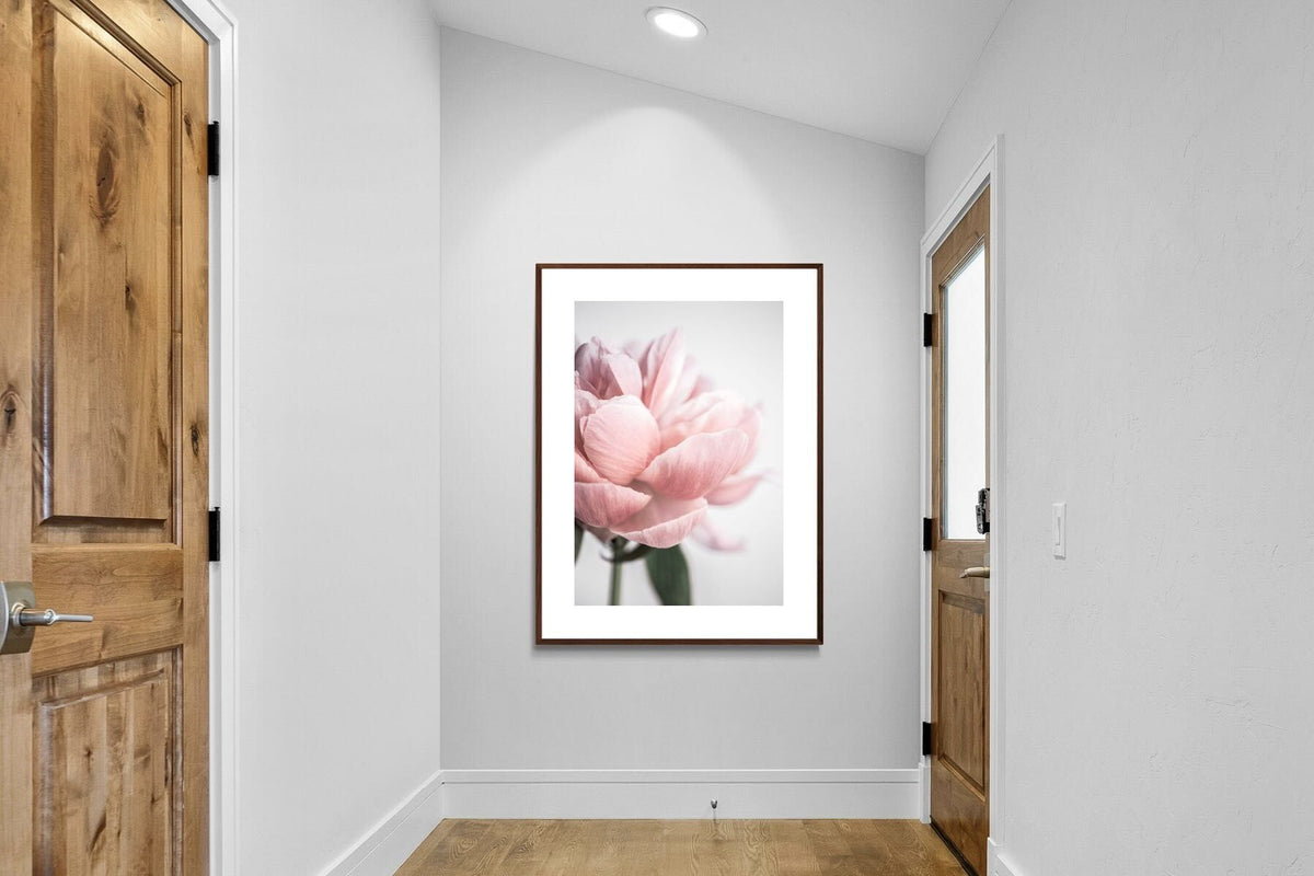 Pixalot ® Plush Peony