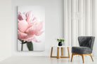 Pixalot ® Plush Peony