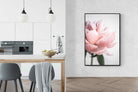 Pixalot ® Plush Peony