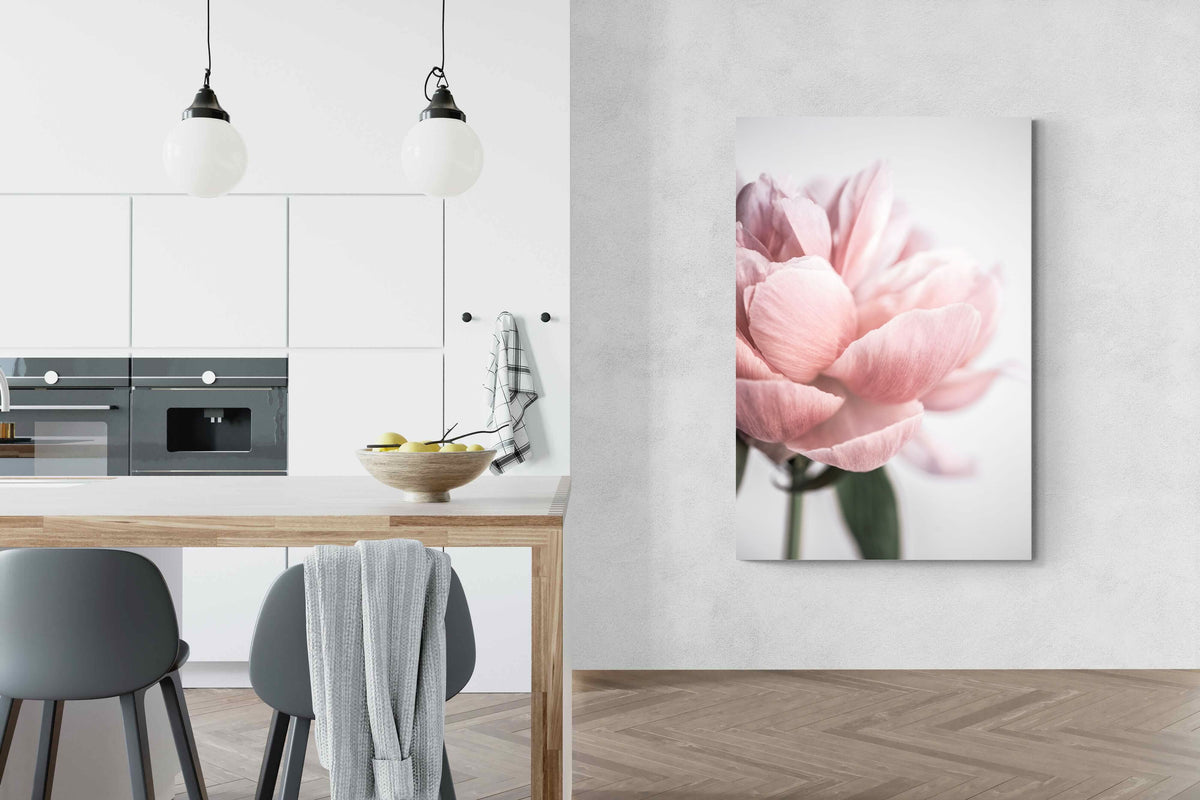 Pixalot ® Plush Peony