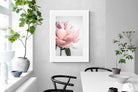 Pixalot ® Plush Peony