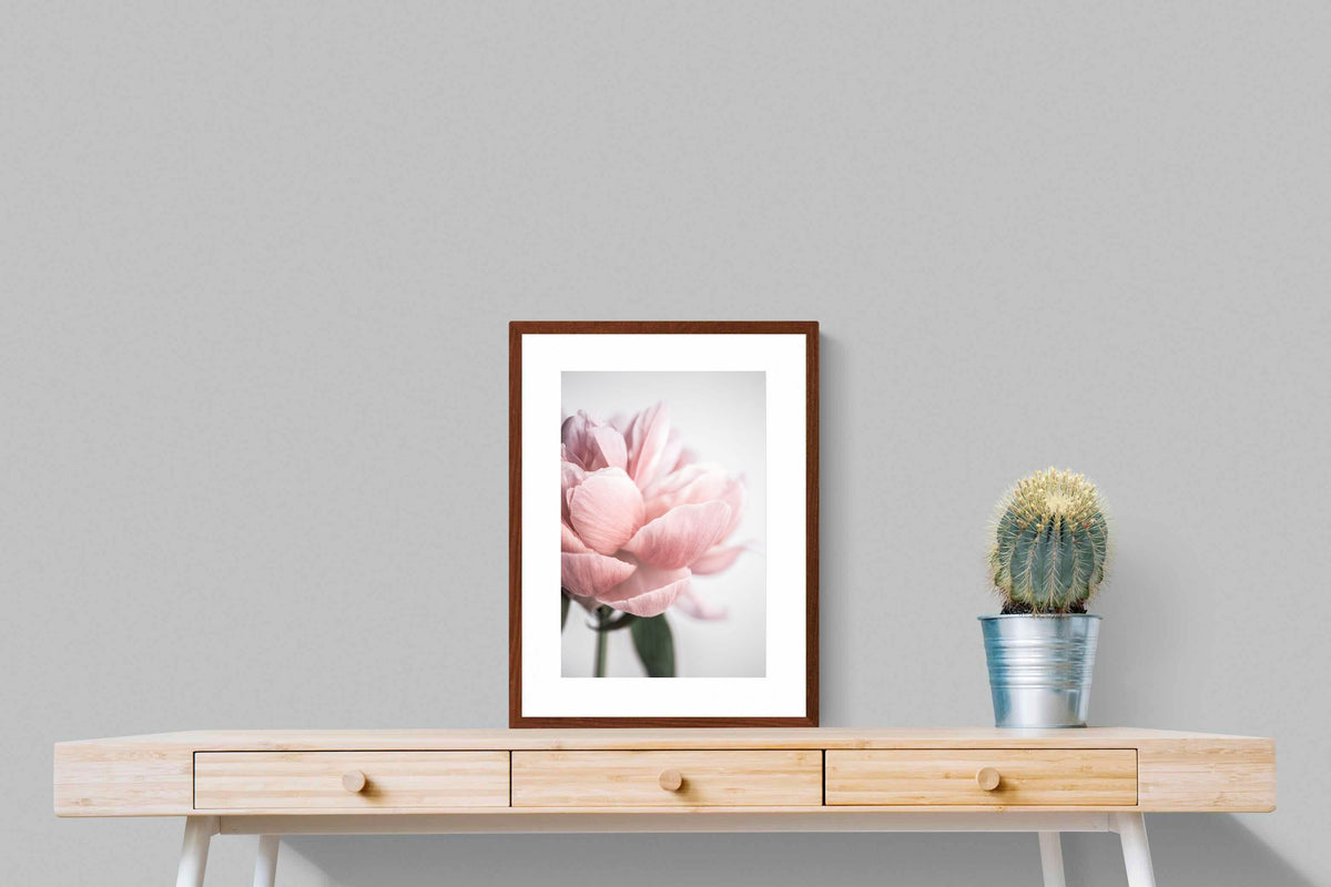 Pixalot ® Plush Peony