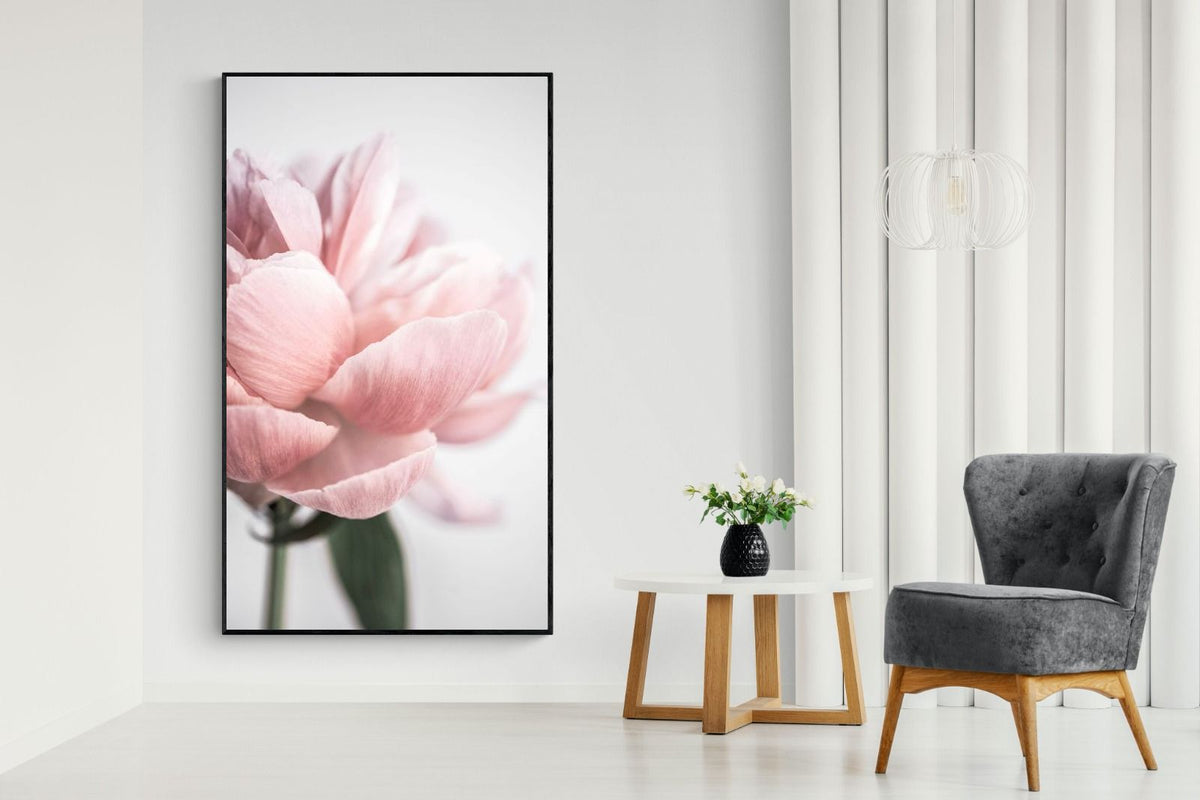 Pixalot ® Plush Peony