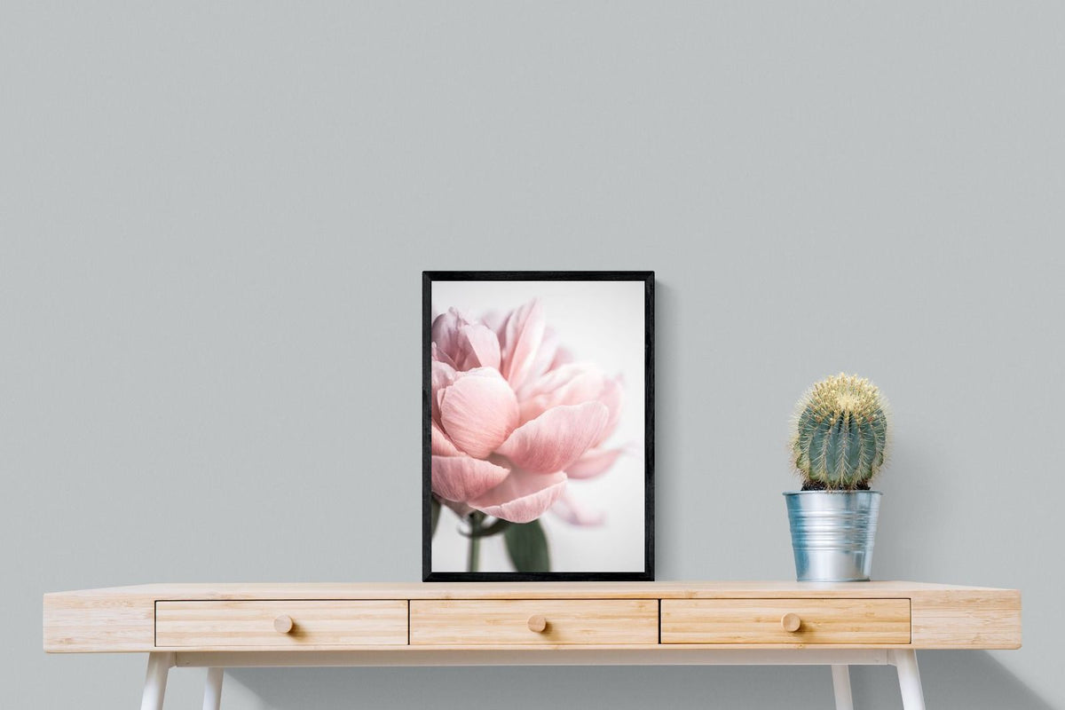 Pixalot ® Plush Peony