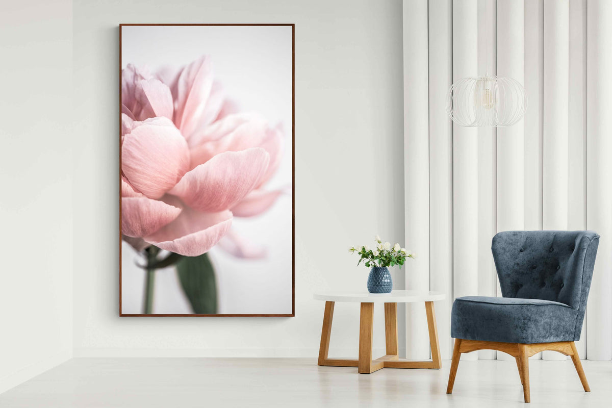 Pixalot ® Plush Peony