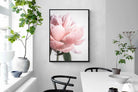Pixalot ® Plush Peony