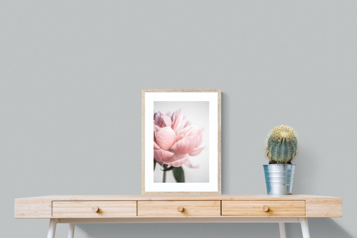 Pixalot ® Plush Peony