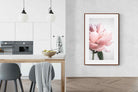 Pixalot ® Plush Peony