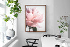 Pixalot ® Plush Peony