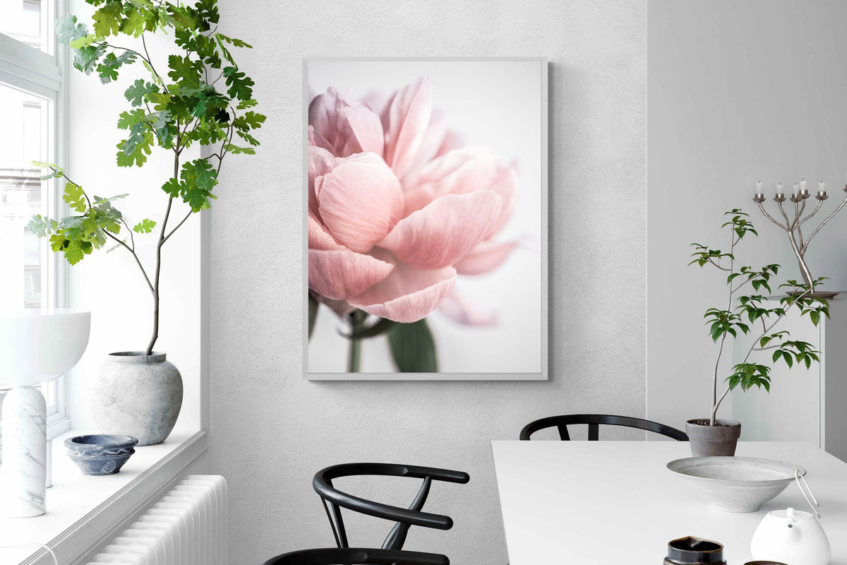 Pixalot ® Plush Peony
