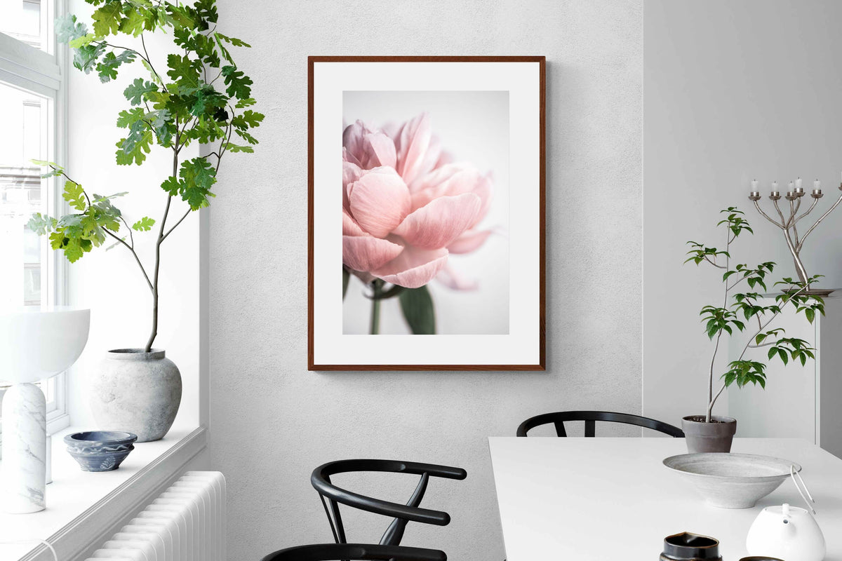 Pixalot ® Plush Peony
