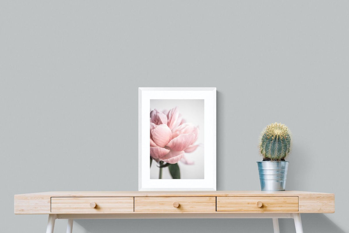 Pixalot ® Plush Peony
