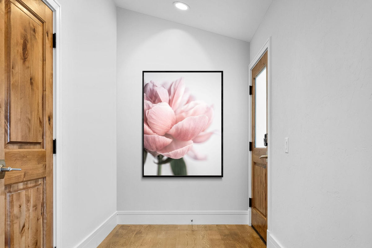 Pixalot ® Plush Peony