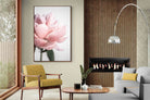 Pixalot ® Plush Peony