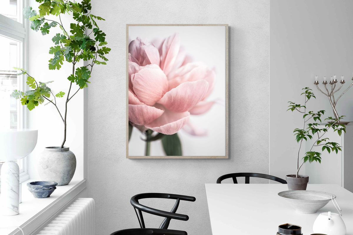 Pixalot ® Plush Peony