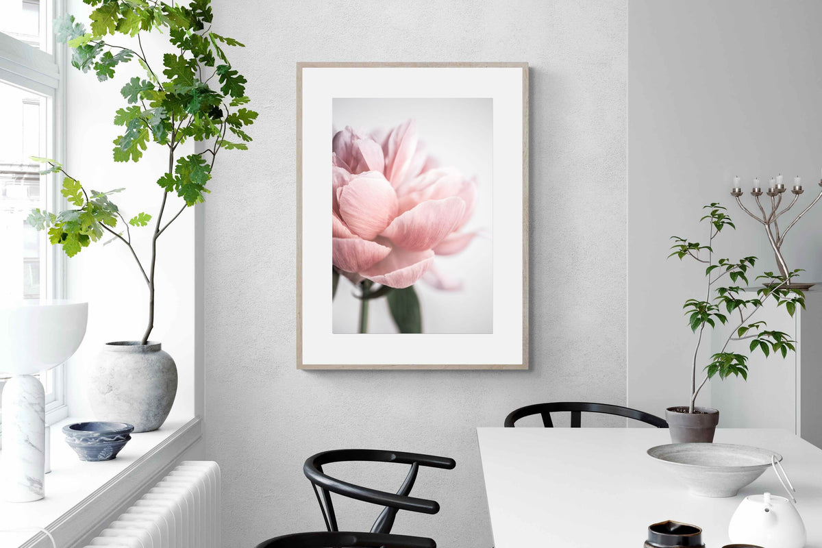 Pixalot ® Plush Peony