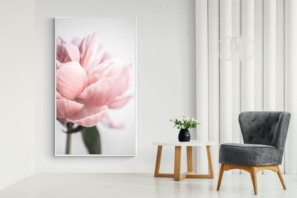Pixalot ® Plush Peony
