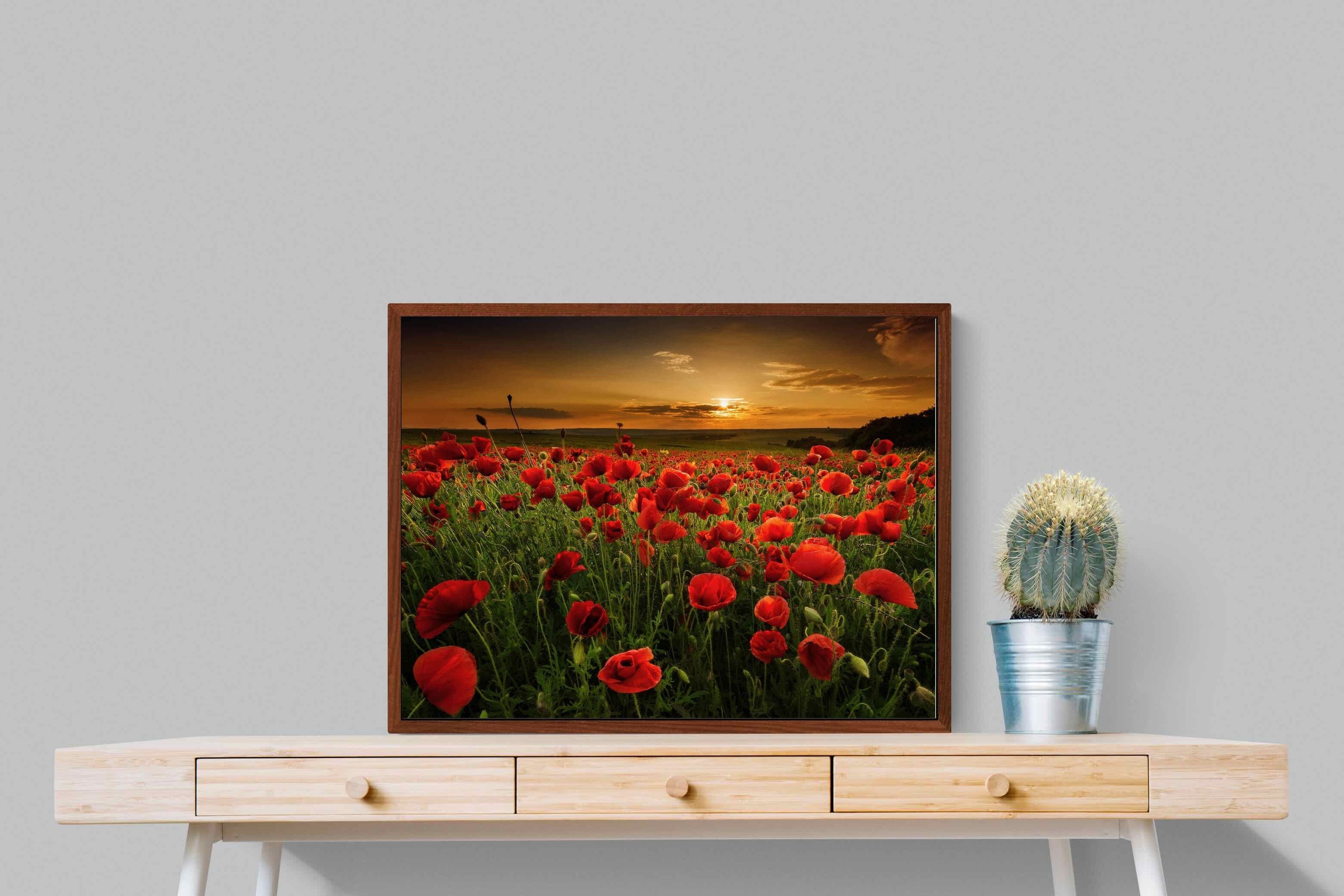 Pixalot ® Poppy Fields
