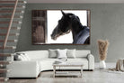 Pixalot ® Racehorse