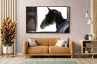 Pixalot ® Racehorse