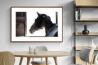 Pixalot ® Racehorse
