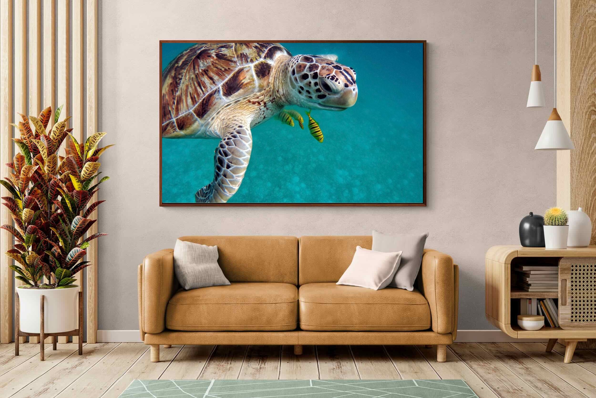 Pixalot ® Reef Companion