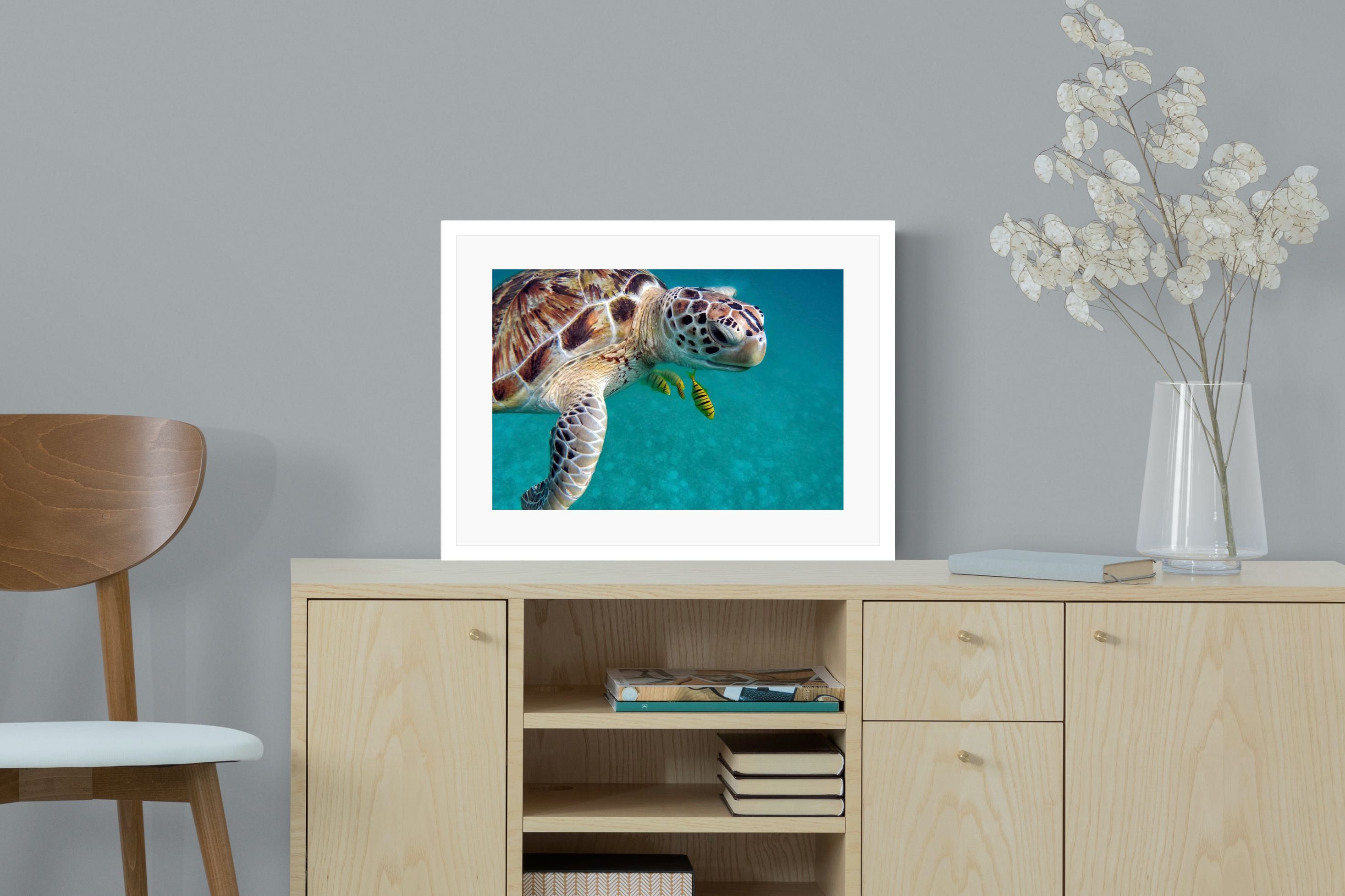 Pixalot ® Reef Companion